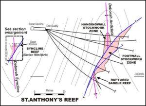 Section of St Anthony’s reef showing